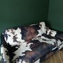 DFS Larch Cow Sofa (3 seater) Image 3