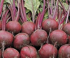 (B) Beetroot WODAN H seeds 3g (125852)
