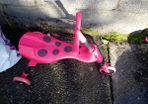 Scuttlebug