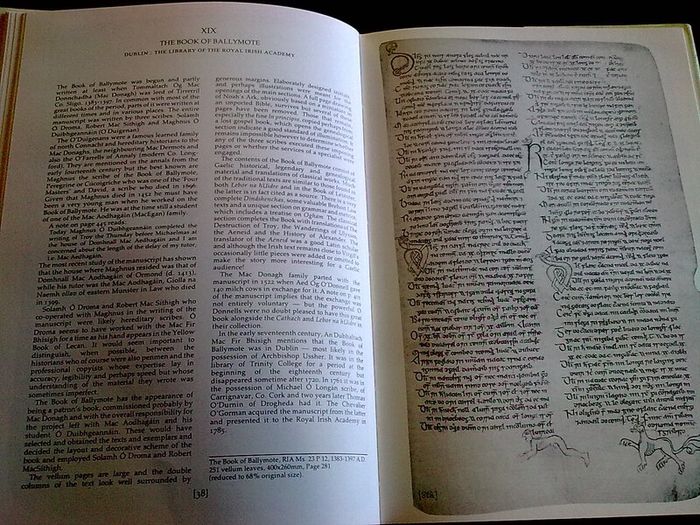 The Irish Hand Scribes and manuscripts with exemplar of scripts Ireland Dolmen
