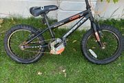 bike Apollo