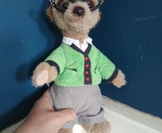 teddy