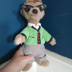 teddy