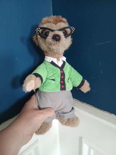 teddy