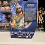 Macho Man Randy Savage HOF WWE fig Image 2