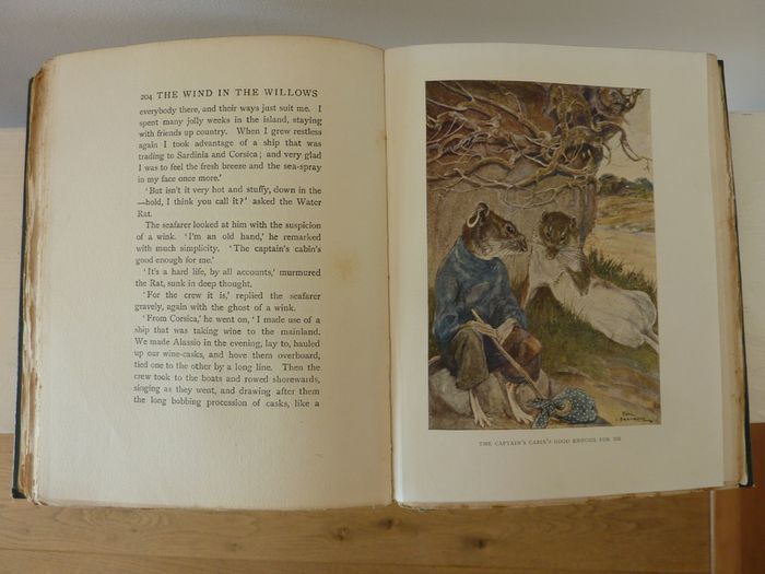The Wind in the willows (book)