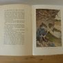 The Wind in the willows (book) Image 8