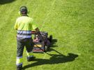 Professional Landscape Maintenance Image 2