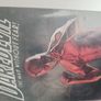Daredevil Graphic Novel Bundle Image 2