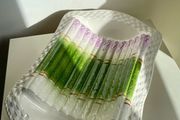 Vintage French Majolica Asparagus Dish Barbotine Serving Platter Green White