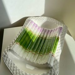 Vintage French Majolica Asparagus Dish Barbotine Serving Platter Green White