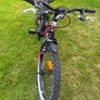 Girl Bike Image 3