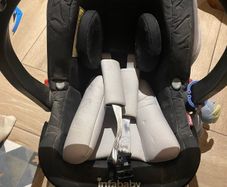 buggy