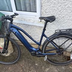 Giant E-bike needs motor repair