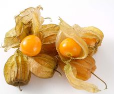 Cape Gooseberry seeds. Physalis Peruviana