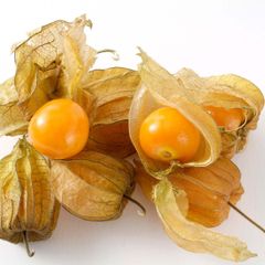 Cape Gooseberry seeds. Physalis Peruviana
