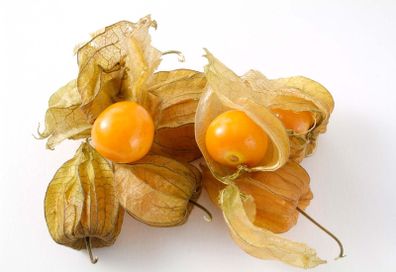 Cape Gooseberry seeds. Physalis Peruviana