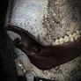 1 Copper Chain Wild Deer Jaw Viking Amulet Talisman Necklace Wasteland Bone Wearable Art Image 5
