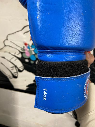 Punch Bag, Stand and Gloves