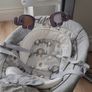 joie electric swing Image 2