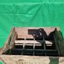 6 Antique Soda Bottles and Crate Image 8