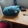Decathalon Sleeping Bag Image 2