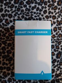 Fast Charger