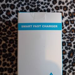 Fast Charger