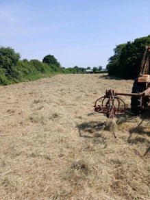 Small square bales of hay