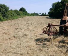 Small square bales of hay