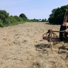 Small square bales of hay