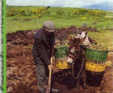 Cork &  Kerry