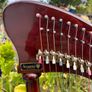 Aoyama 34 String Lever Harp Image 7