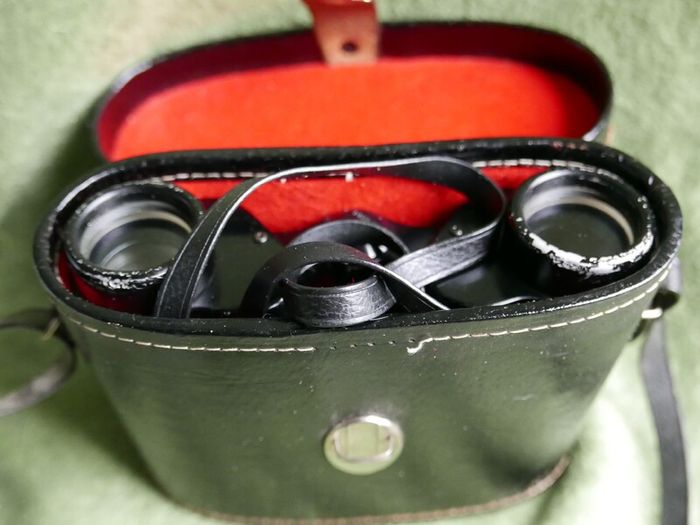 Vintage Japan Binoculars Ronoco 8 x 30