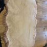 rug Image 5