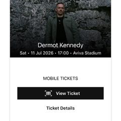 1 x front pitch standing Dermot Kennedy Sat