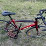 Trek 1.1 Series Lightweight Road Bike Serviced & Ready to Ride Image 4