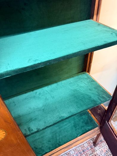 Elegant Sheraton Style 19th Century Display Cabinet