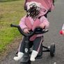 toddler trike Image 2