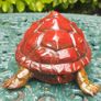 Turtle - Enameled Bronze Image 4