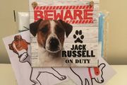 NEW Jack Russell Pack