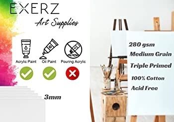 20x25cm Canvas Panels 12pcs 280GSM/ Artist Canvas Board 100% Cotton 0.3cm Thinkness/ Blank/ Triple Primed/ Acid Free/ Medium Grain