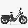 FIIDO T2 Longtail Cargo Electric Bike Image 2
