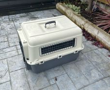 Dog transport box