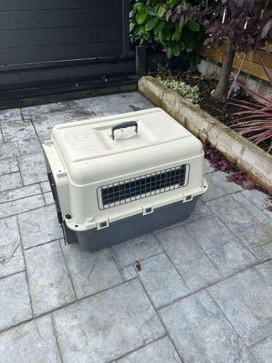 Dog transport box
