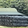 Premium Haylage for Sale  250 Bales Image 5