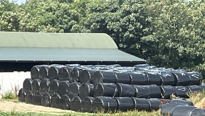 Premium Haylage for Sale  250 Bales