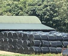 Premium Haylage for Sale  250 Bales