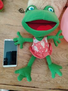 Frog Terra Mitica Soft Toy