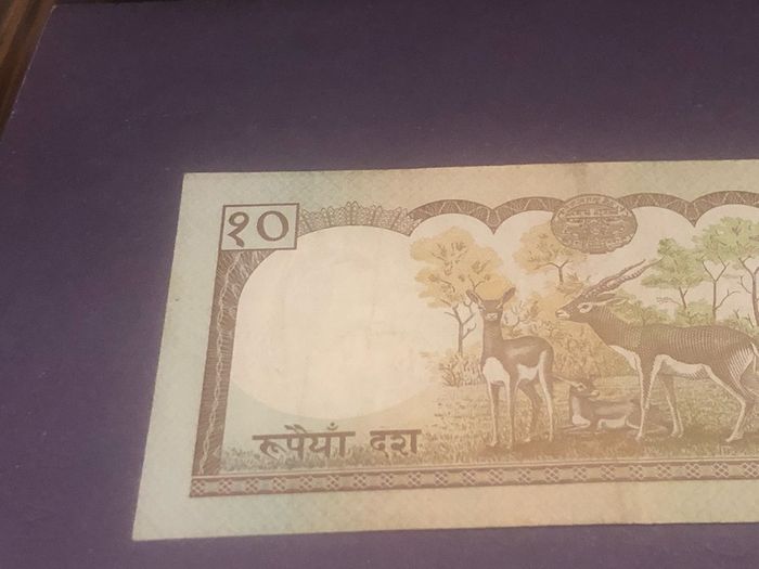 Nepal 10 Rupee 1993 UNC
